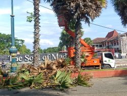 Turun Tangan Langsung, Kabid DLH Sumenep Pimpin Pangkas Pohon Kering di Pintu Masuk Pemkab