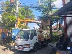 Koordinasi dengan PLN, DLH Sumenep Rutin Pangkas Ranting Pohon di Area Pemkab