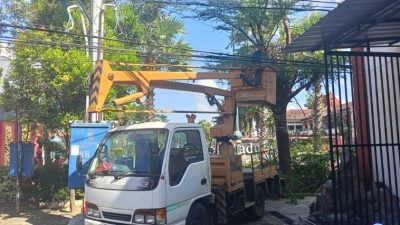 Koordinasi dengan PLN, DLH Sumenep Rutin Pangkas Ranting Pohon di Area Pemkab