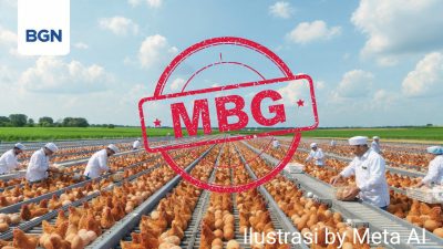 BGN Gerak Cepat Bantu Peternak Magetan, Menu MBG Perbanyak Porsi Telur