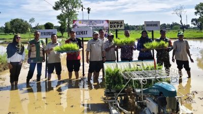 Kejar Swasembada Pangan, DKPP Sumenep Dorong Tanam Padi 2 Kali Setahun