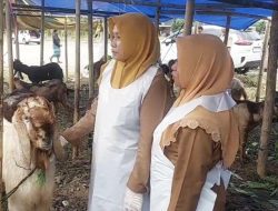 DKPP Sumenep Temukan 3 Ekor Kambing Terindikasi Orf Saat Sidak Jelang Idul Adha