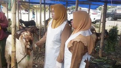 DKPP Sumenep Temukan 3 Ekor Kambing Terindikasi Orf Saat Sidak Jelang Idul Adha