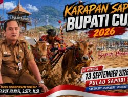 Karapan Sapi Bupati Cup 2026 di Pulau Sapudi Diprediksi Dongkrak Ekonomi dan Tarik Wisatawan