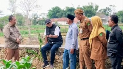 Bupati Sumenep Tinjau Langsung Mutu Tembakau Guluk-Guluk, Komitmen Jaga Kualitas Demi Kesejahteraan Petani