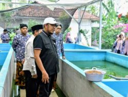 Bupati Fauzi Tinjau Budidaya Lele dan Ayam Petelur di Ganding, Dukung Pasokan MBG Sumenep