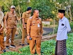 DKPP Sumenep Ketatkan Pengawasan Pembibitan Tembakau Prancak 95 Demi Mutu Panen 2026