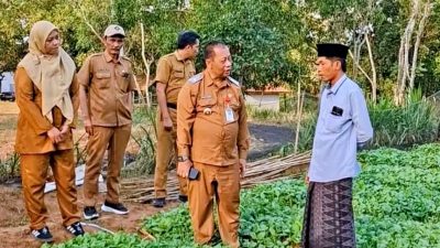 DKPP Sumenep Ketatkan Pengawasan Pembibitan Tembakau Prancak 95 Demi Mutu Panen 2026