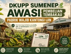 DKUPP Sumenep Akan Awasi Pembelian Tembakau oleh Pabrik, TIHT 2026 Wajib Jadi Acuan